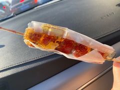-和禄德冰糖葫芦