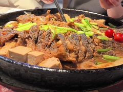 -老板恋上鱼(高新万达店)