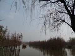 -白鹭湾湿地公园