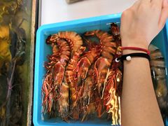 -ZF Seafood Restaurant 卓峰海鲜餐