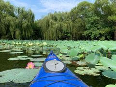 -WhaleSports户外水上运动俱乐部(朝阳公园店)