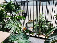 -大树餐厅(红旗街万达店)