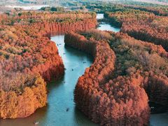 -上海海湾国家森林公园