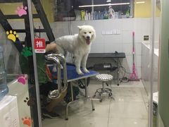 -酷狗靓猫宠物·洗护·美容·寄养(航北路店)