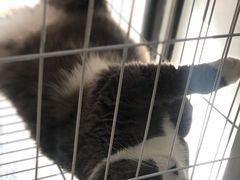 -乐果甜心·潮汕冰室(南澳后宅分店)