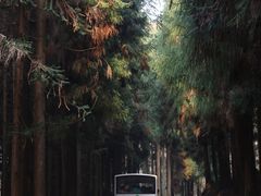 -山王坪喀斯特国家生态公园