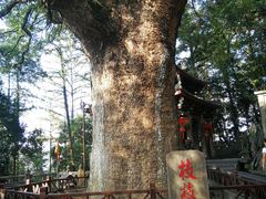 -安溪清水岩