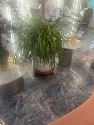 -雲造型·Hair Salon