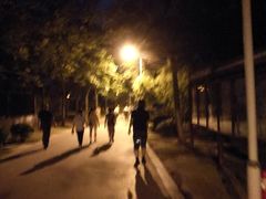 -泰州凤城河风景区-泰山公园