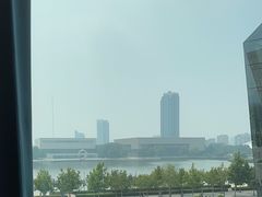 -羲和雅苑•北京烤鸭(乐园道万象城店)