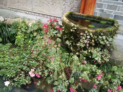 -华冠悠岚·庭院餐厅(青城后山店)