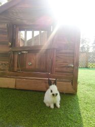 -萌宠亲子动物乐园(槐房万达店)