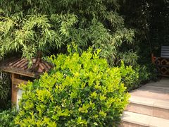 -郑州银基黄帝宫御温泉