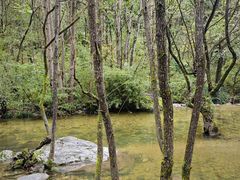 -牛背梁国家森林公园