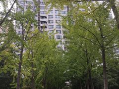 -新湖明珠城