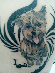 android_upload_pic-KISS TATTOO 中国高端刺青店