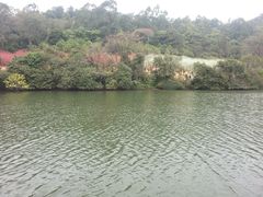 -南国桃园旅游度假区