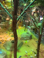 -酷嗒动物文化乐园(cutezoo西溪乐天城店)