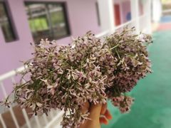 -Club Med地中海俱乐部·桂林度假村