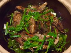 -广东道至正餐厅(区庄店)