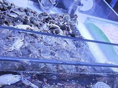 -聚盛源蒸汽海鲜火锅烤肉自助(巨川金海岸购物广场店)