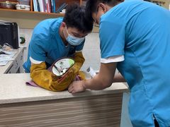 -动物缘宠物医院·骨科·猫科(西二环店)