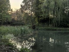 -尚贤河湿地