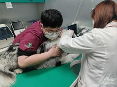 -瑞派申生动物医院·24H夜诊·国际动物医疗中心·骨外科(吴中路店)
