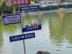 -团结湖公园