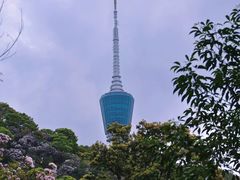 -梧桐山风景名胜区