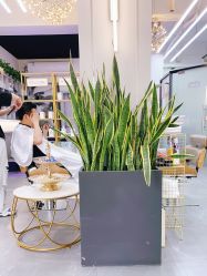 -FUTURE HN男士发型风格设计