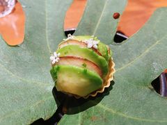 春菜-天水蔬食料理(树德之光店)