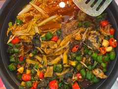 -蛙小侠(古镇大信新都汇店)