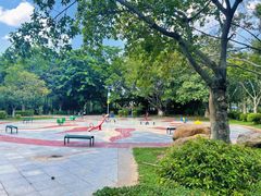 -滴水岩森林公园