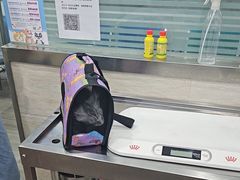 -暖阳宠物医院·犬猫康复中心·骨科