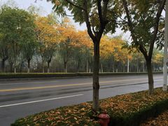 -阿木舂记·特色小吃(平江路店)