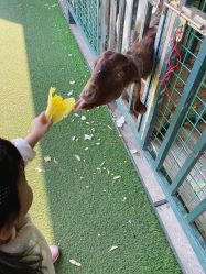 -小蜜蜂农场(凯德七宝购物广场店)