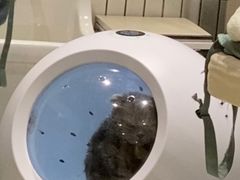 -電力宠物公司(武定路店)
