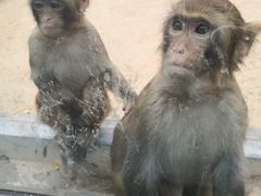 景点-西安世博园