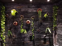 -一只烧鸡公(解放碑店)