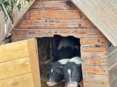 -HERRE·FARM 赫尔露营农场·团建聚会包场