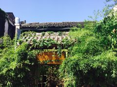 -馬蘭花開(车站大道店)