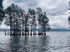 -大理洱海