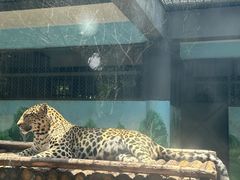 -昆明动物园
