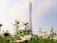 -海心沙亚运公园