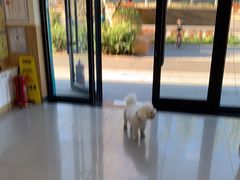 -瑞派宠物医院·24h·骨外科·皮肤科·全科宠物医疗转诊中心(沈阳浑南院)