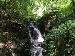 -莫里热带雨林景区