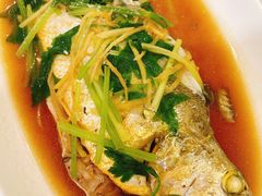 黄花鱼-潮汕铺老店(甜水井店)