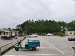 -北京群众马术培训基地