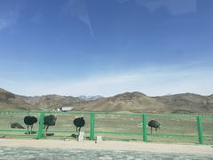 -新疆天山野生动物园